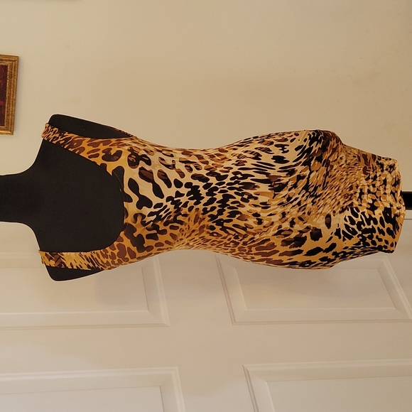 💥Animal Print Dress with Hoodie💥 - Picture 4 of 11